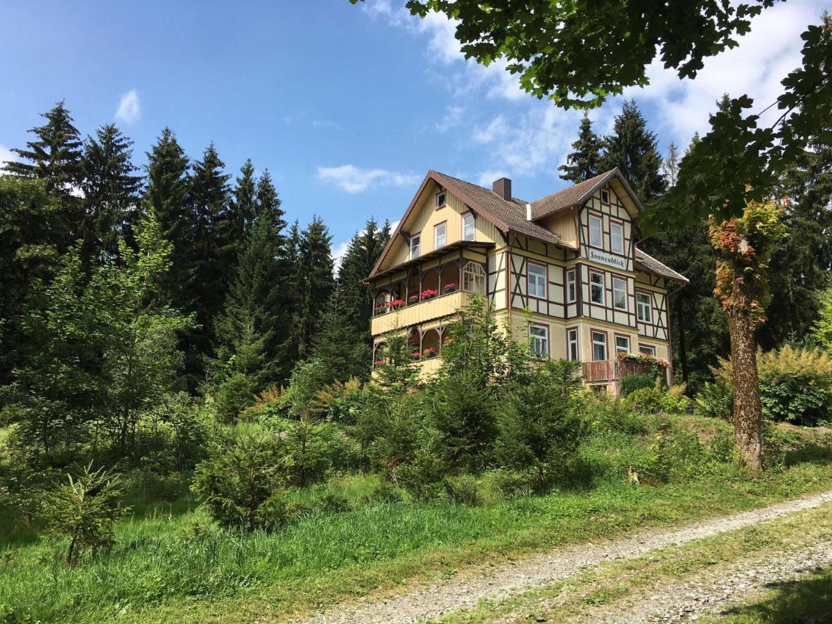 Haus Sonnenblick Appartement Benneckenstein Buitenkant foto