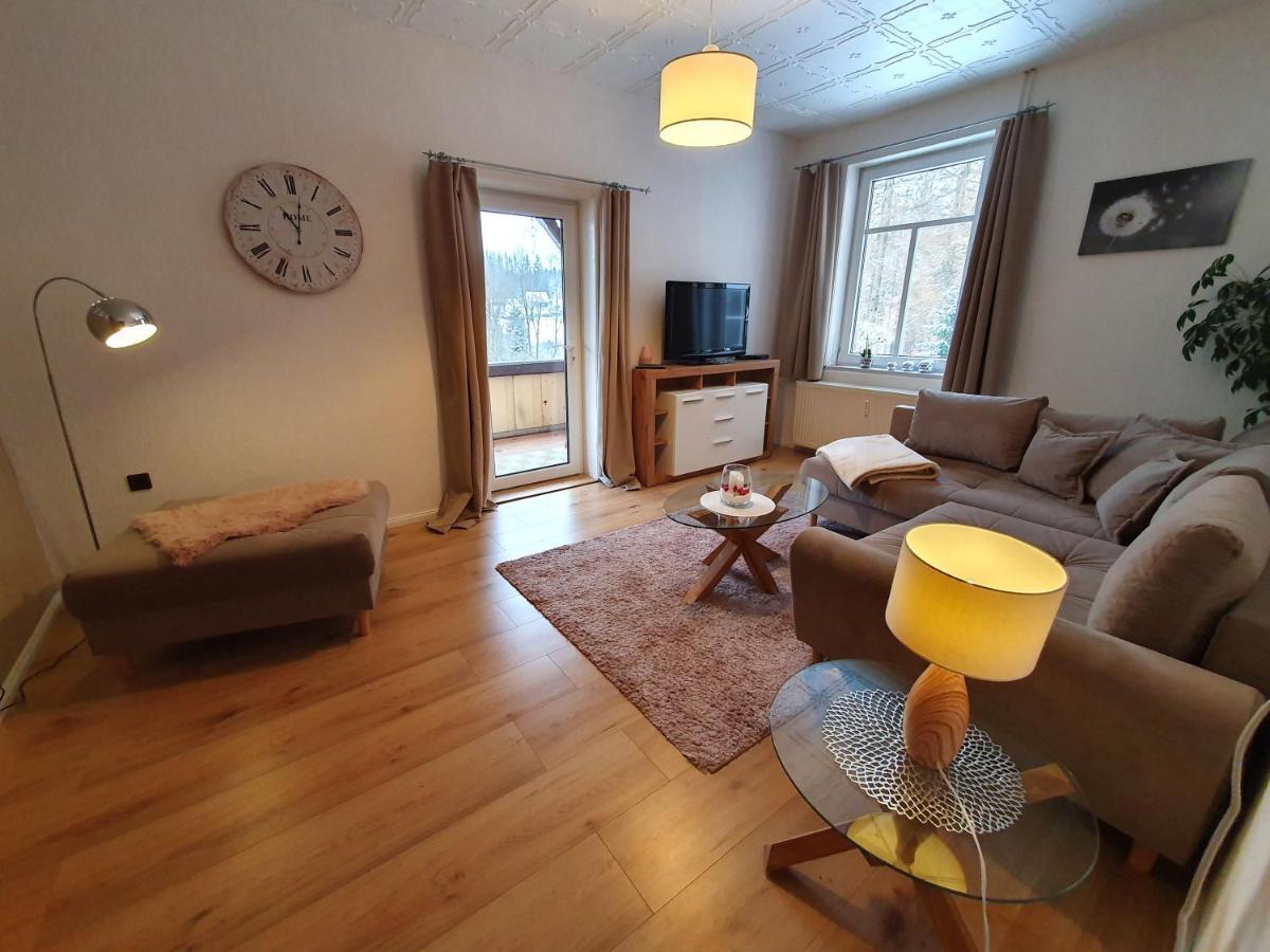 Haus Sonnenblick Appartement Benneckenstein Buitenkant foto