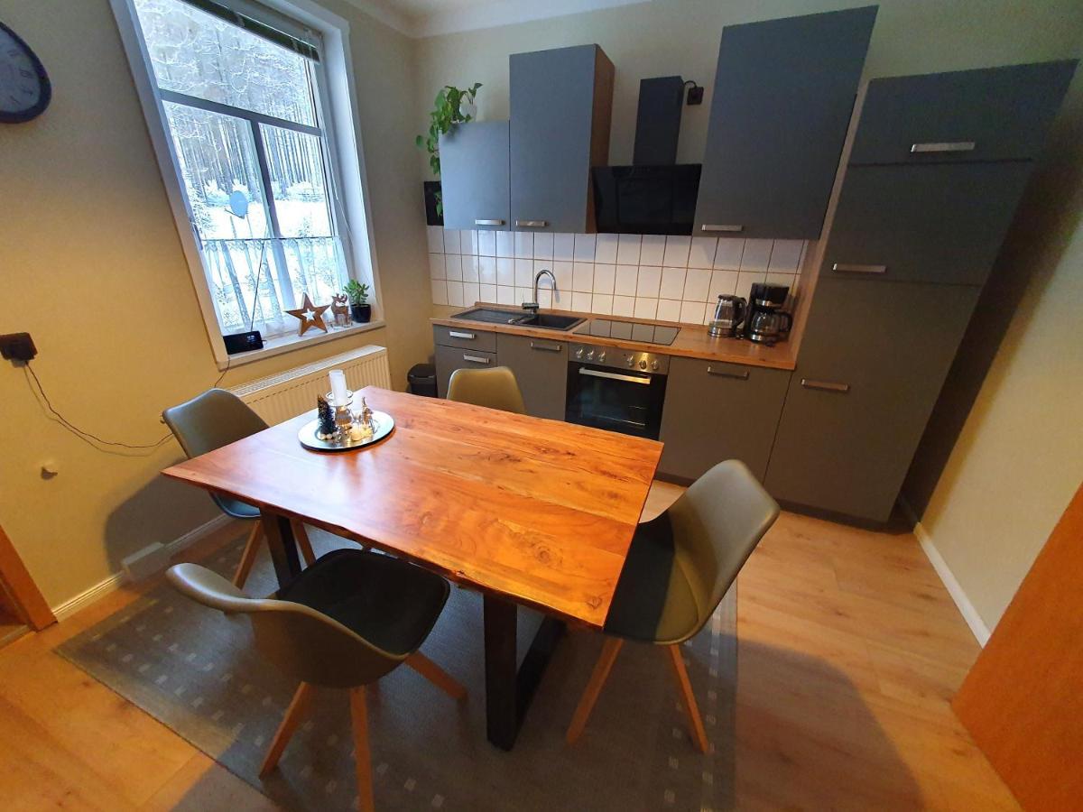Haus Sonnenblick Appartement Benneckenstein Buitenkant foto