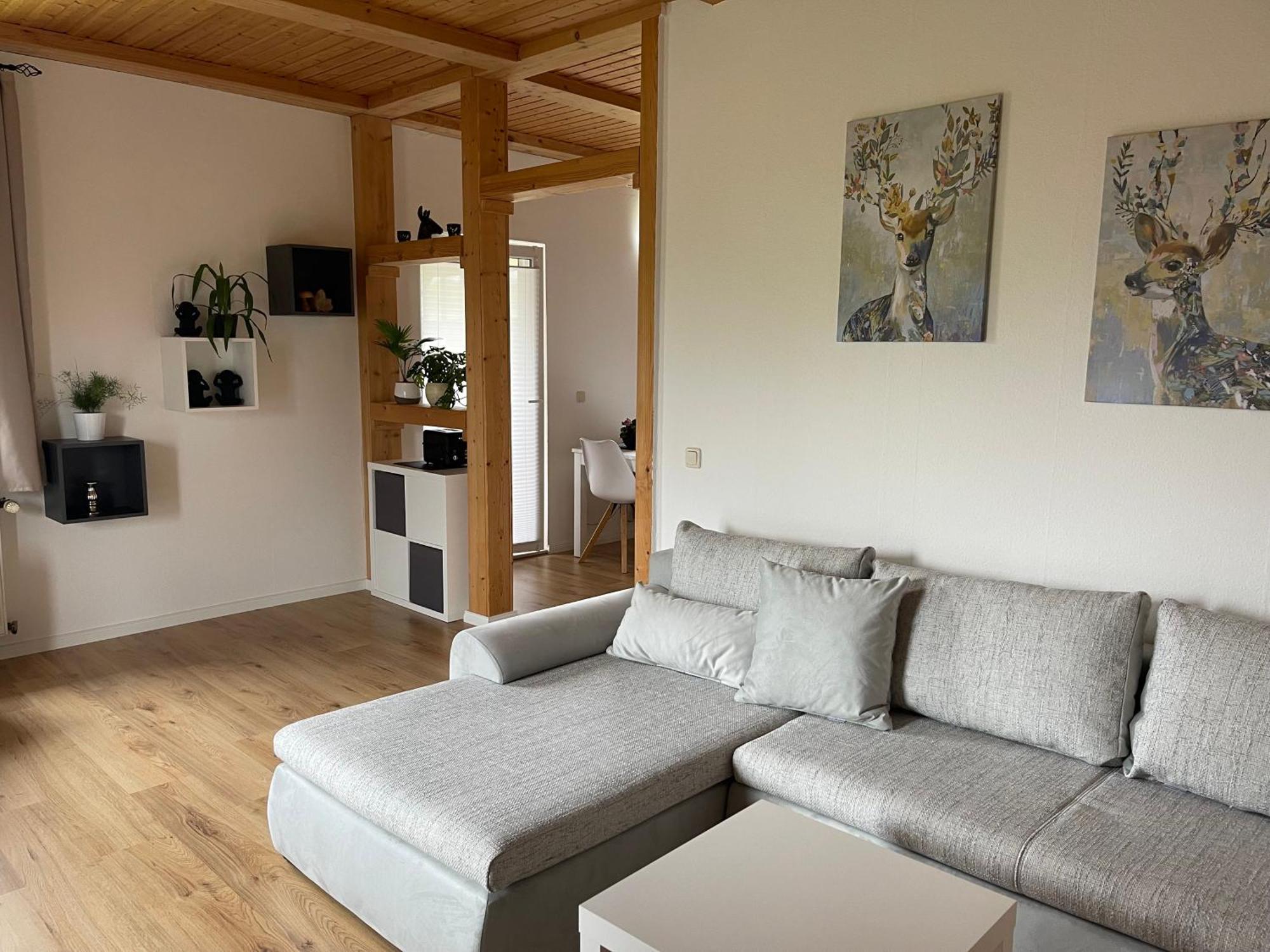 Haus Sonnenblick Appartement Benneckenstein Buitenkant foto